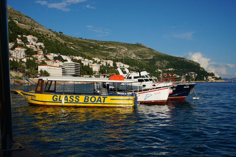 DSC06223.JPG DSC06223.JPG