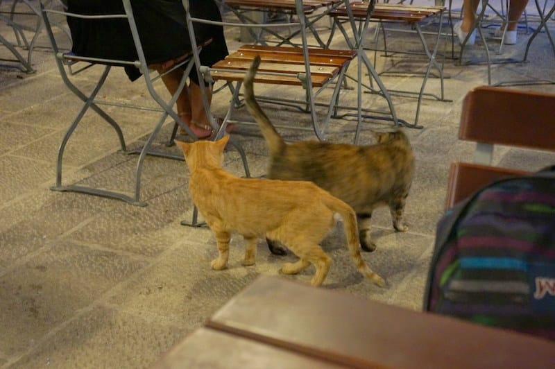 DSC06310.JPG DSC06310.JPG