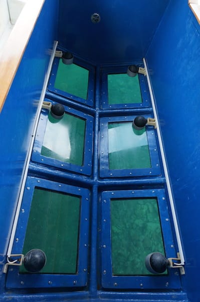 DSC06083.JPG DSC06083.JPG