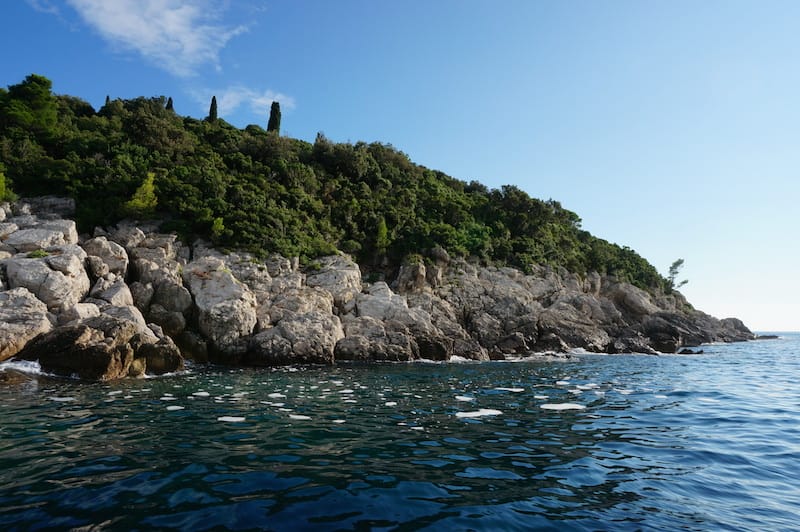 DSC06170.JPG DSC06170.JPG