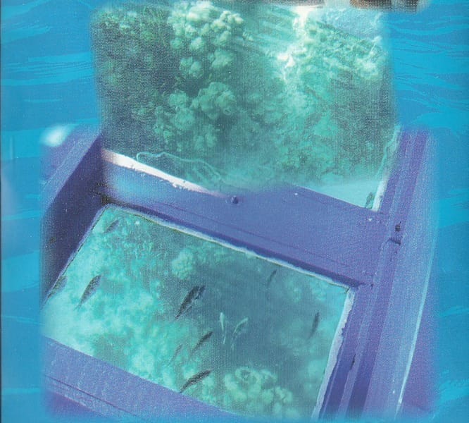 掃描0069.jpg 掃描0069.jpg