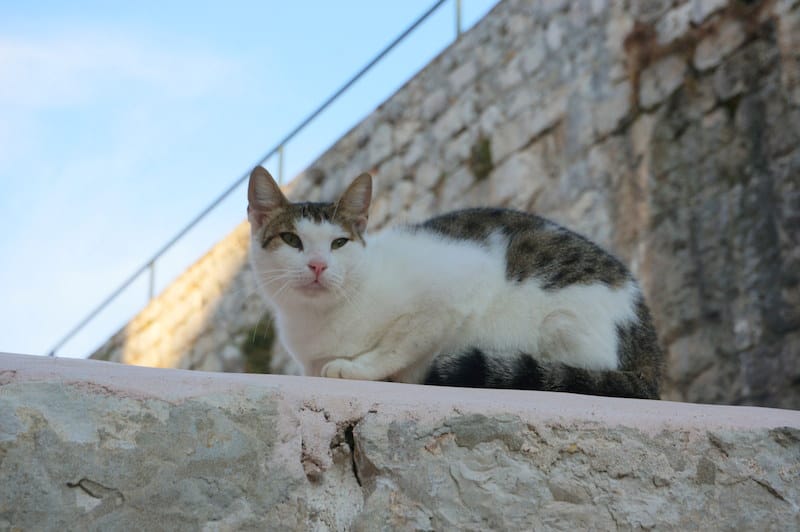 DSC06238.JPG DSC06238.JPG