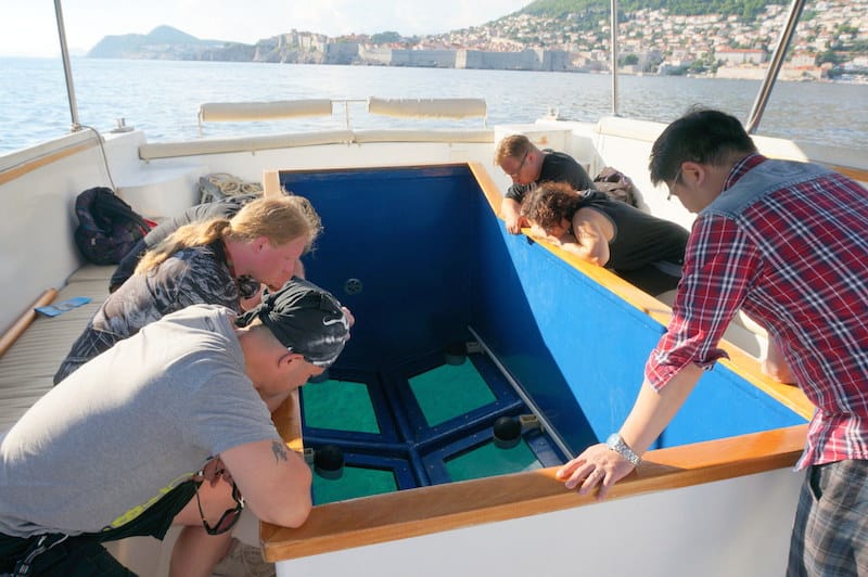 DSC06172.JPG DSC06172.JPG