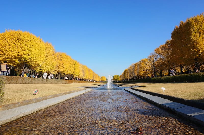 DSC08087.JPG DSC08087.JPG