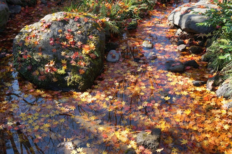 DSC07948.JPG DSC07948.JPG