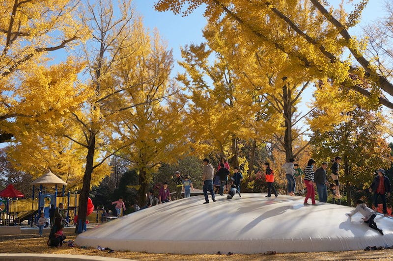 DSC07842.JPG DSC07842.JPG