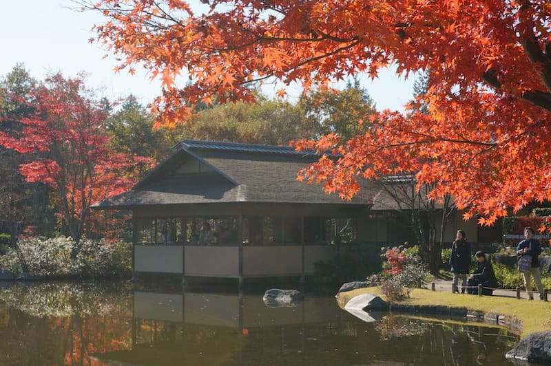 DSC07917.JPG DSC07917.JPG