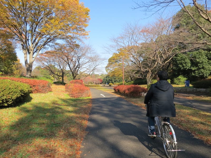 DSC07833(2).JPG DSC07833(2).JPG