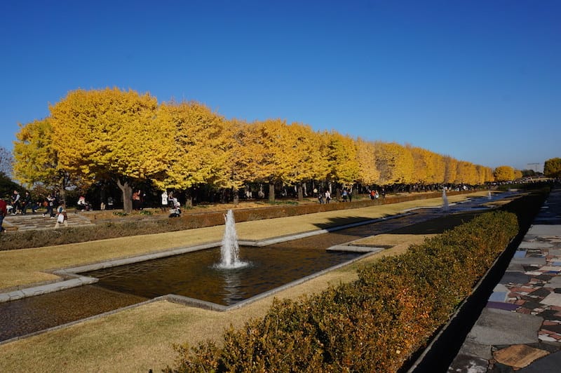 DSC08074.JPG DSC08074.JPG