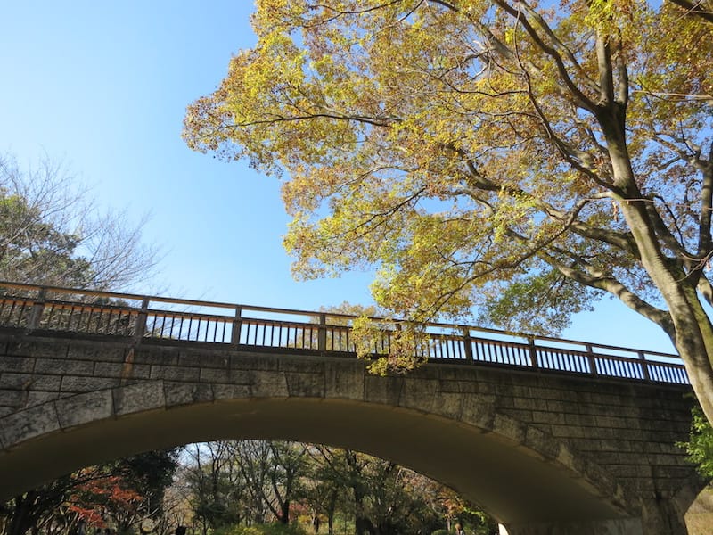 DSC07881.JPG DSC07881.JPG