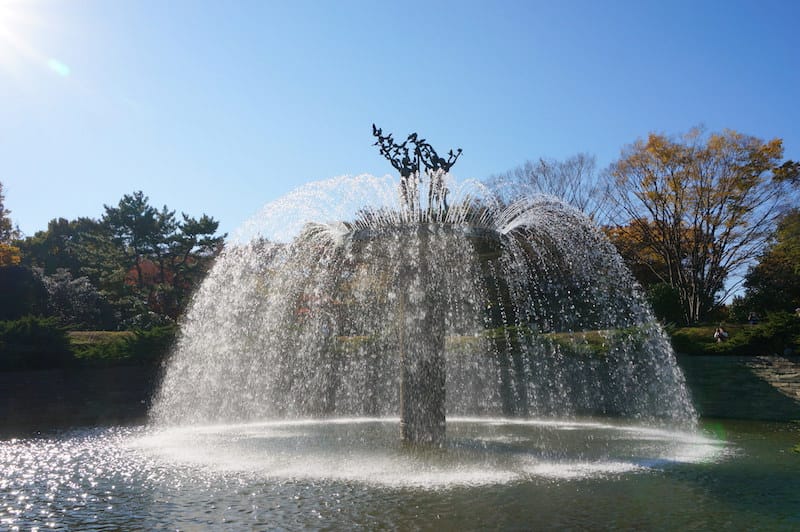 DSC08077.JPG DSC08077.JPG