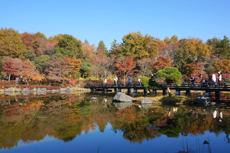 DSC07901.JPG DSC07901.JPG