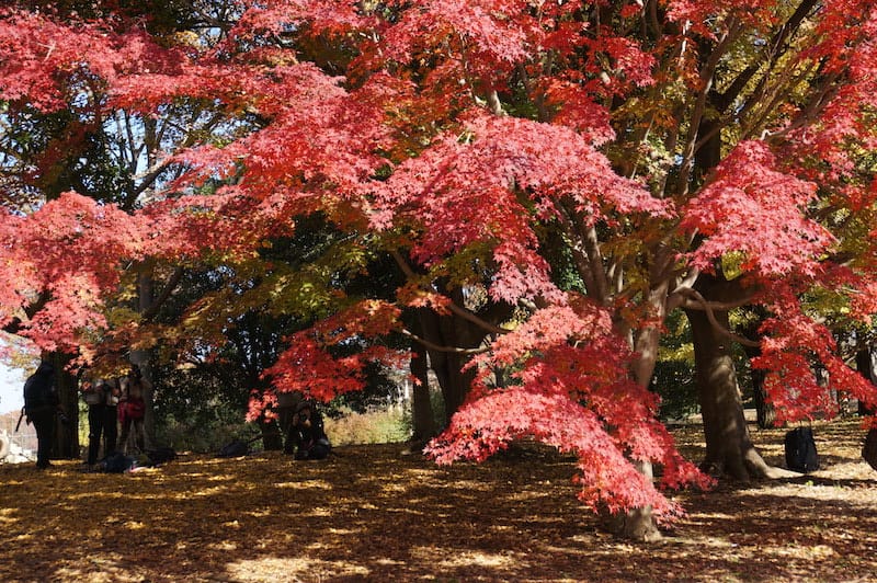 DSC07873.JPG DSC07873.JPG