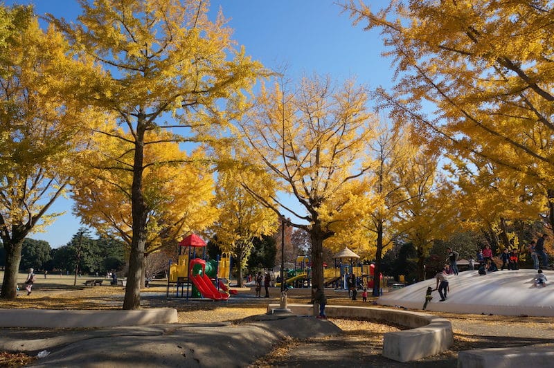 DSC07841.JPG DSC07841.JPG