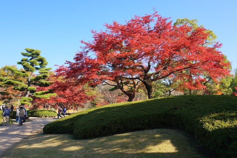 DSC07899.JPG DSC07899.JPG