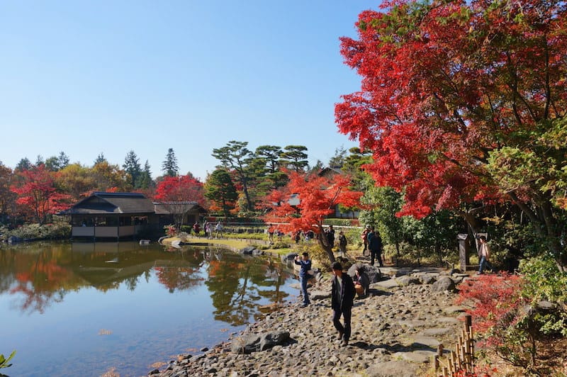 DSC07916.JPG DSC07916.JPG