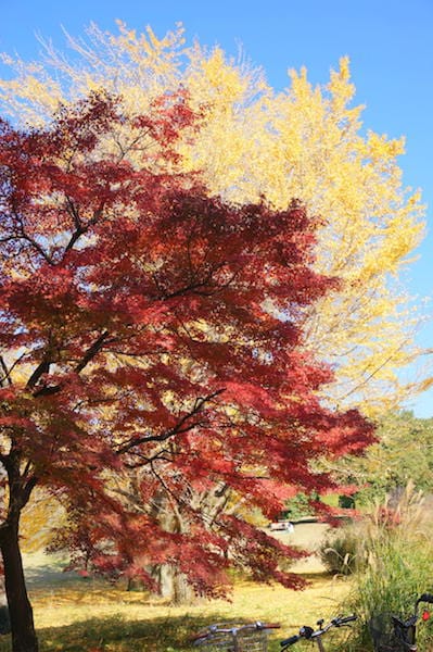 DSC07890.JPG DSC07890.JPG