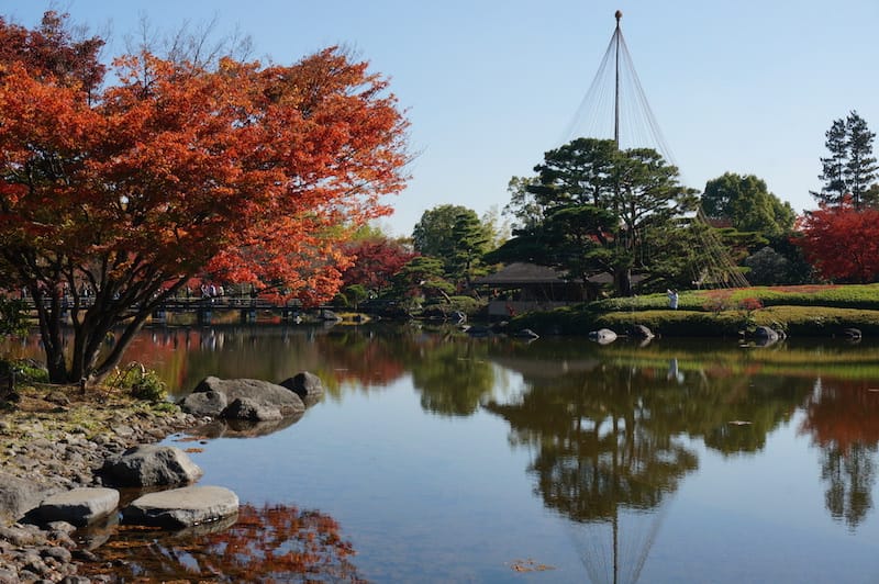 DSC07918.JPG DSC07918.JPG