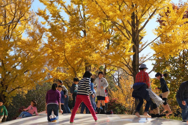 DSC07845.JPG DSC07845.JPG