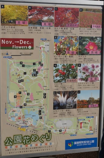 DSC07826.JPG DSC07826.JPG