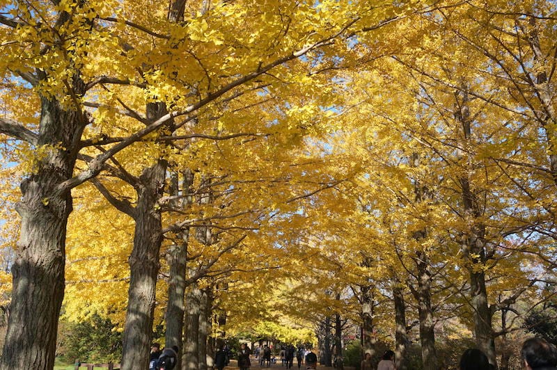 DSC08029.JPG DSC08029.JPG