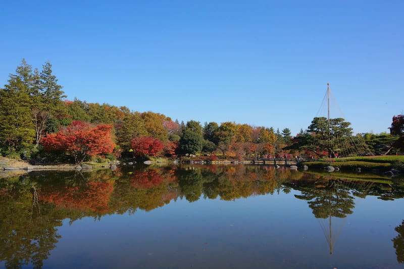 DSC07938.JPG DSC07938.JPG