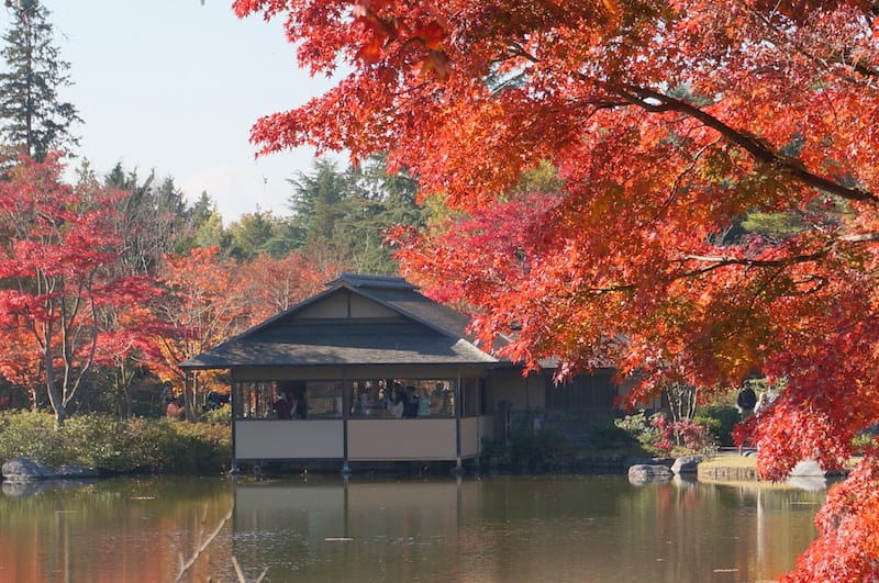 DSC07908.JPG DSC07908.JPG