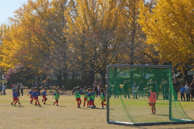 DSC07953.JPG DSC07953.JPG