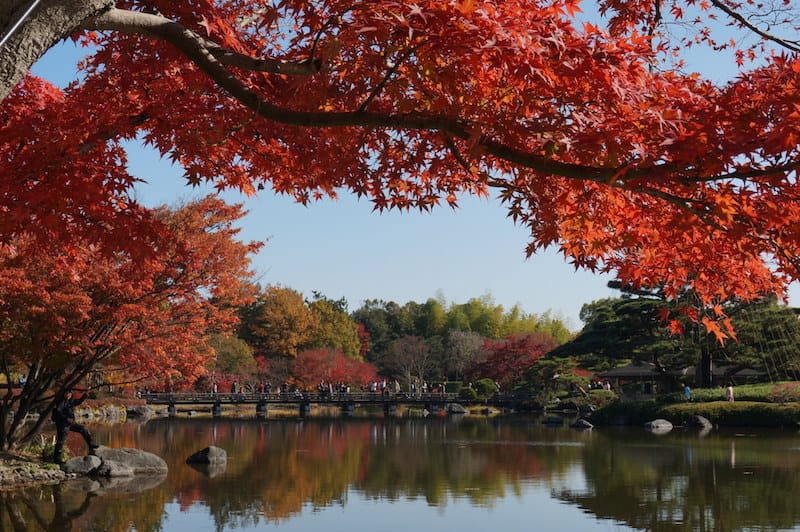 DSC07923.JPG DSC07923.JPG