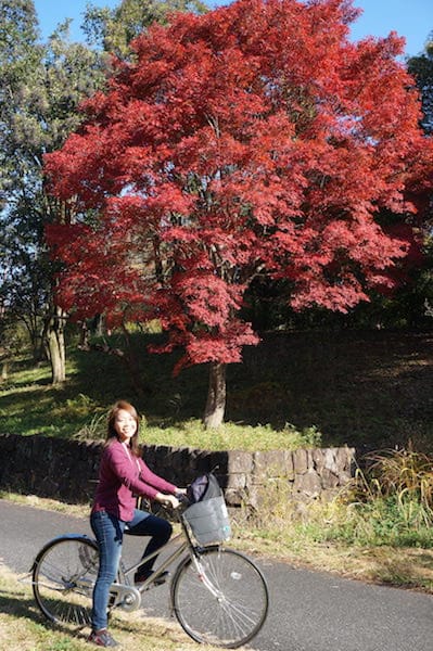 DSC07882.JPG DSC07882.JPG