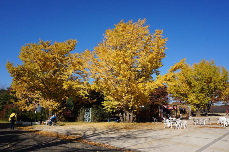 DSC07838.JPG DSC07838.JPG