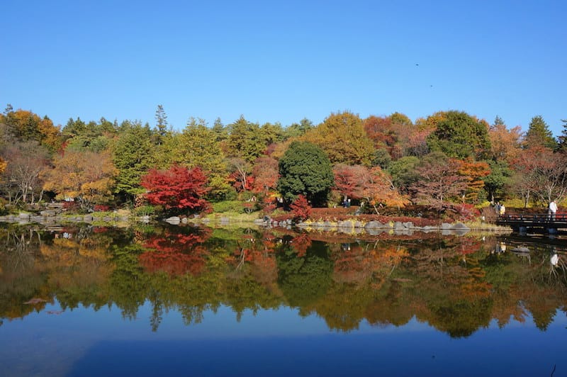 DSC07900(1).JPG DSC07900(1).JPG