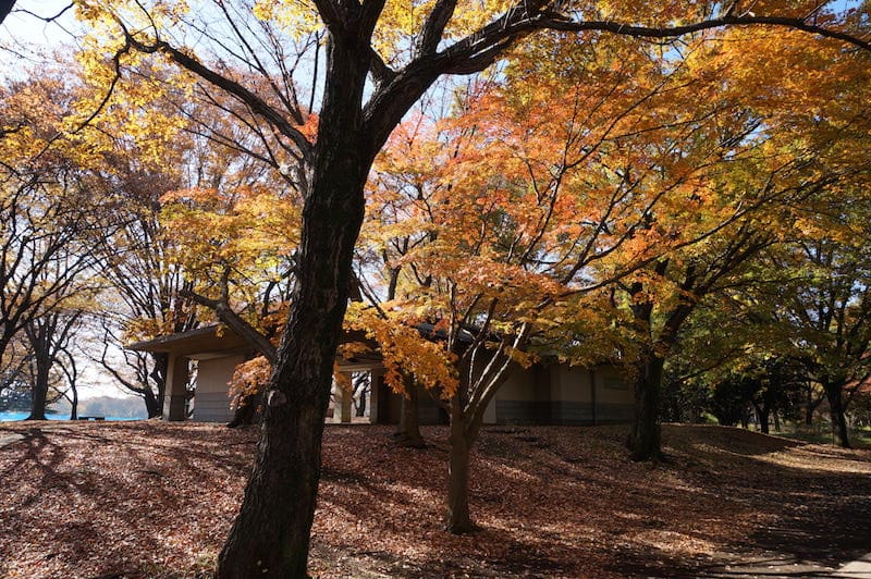 DSC07889.JPG DSC07889.JPG