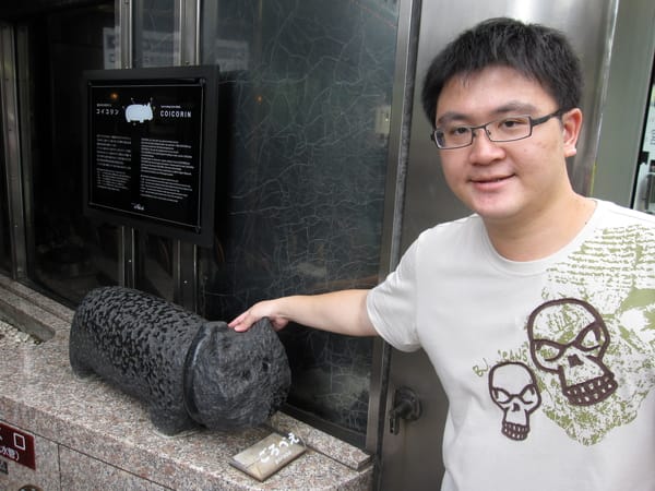 可以增強戀愛運的貓 coicorin, 麻煩您保佑了,泣....