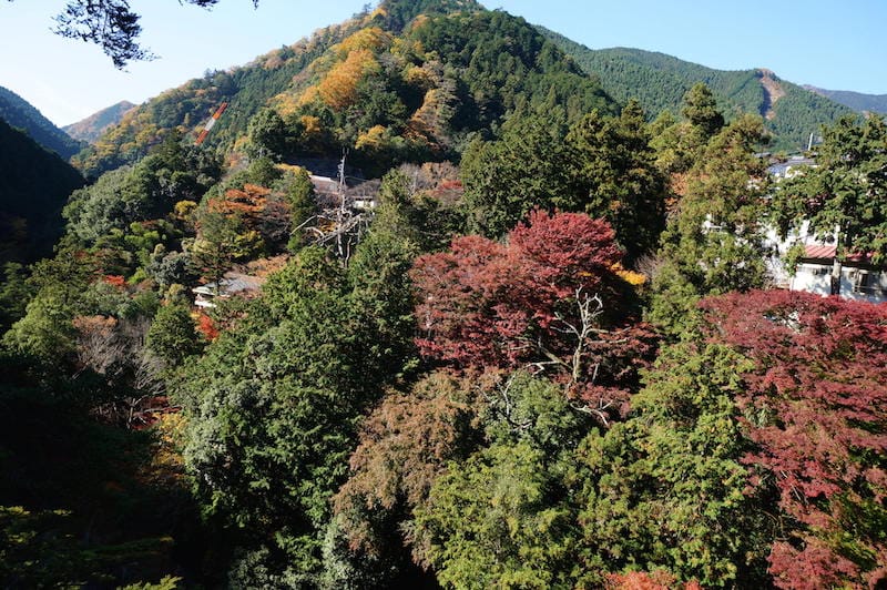 DSC08366.JPG DSC08366.JPG