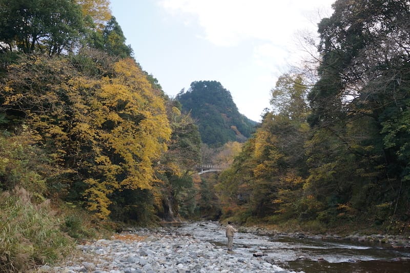 DSC08444.JPG DSC08444.JPG