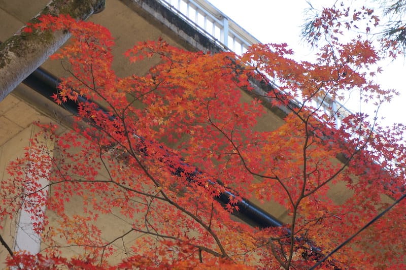 DSC08269.JPG DSC08269.JPG