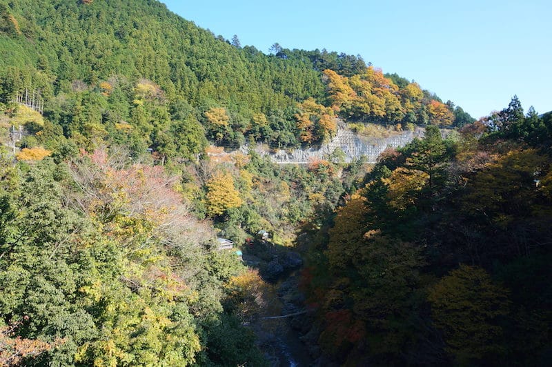 DSC08362.JPG DSC08362.JPG