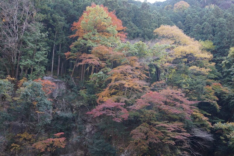 DSC08416.JPG DSC08416.JPG