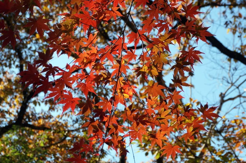 DSC08268.JPG DSC08268.JPG