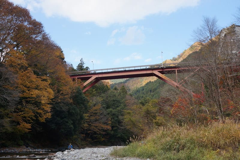 DSC08460.JPG DSC08460.JPG