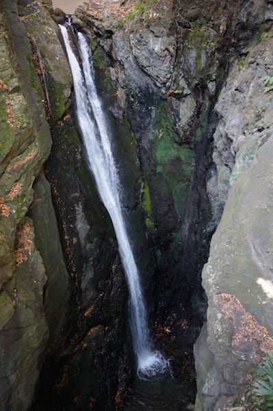 DSC08376.JPG DSC08376.JPG