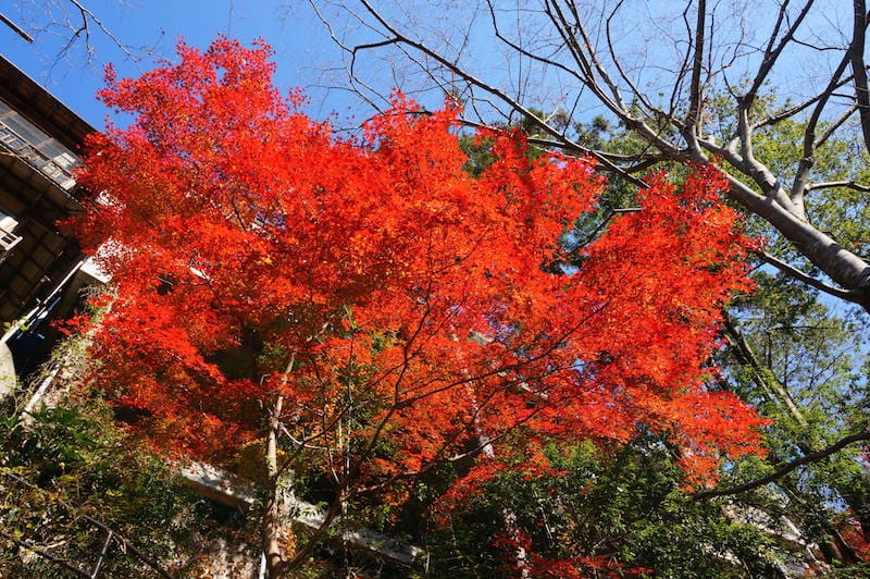 DSC08291.JPG DSC08291.JPG