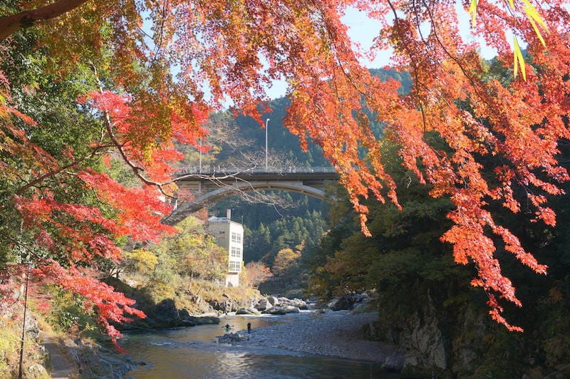 DSC08278.JPG DSC08278.JPG