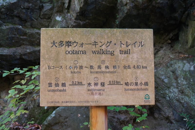 DSC08383.JPG DSC08383.JPG