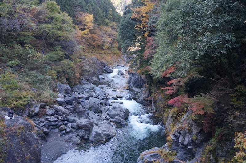 DSC08403.JPG DSC08403.JPG