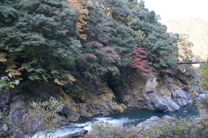 DSC08413.JPG DSC08413.JPG