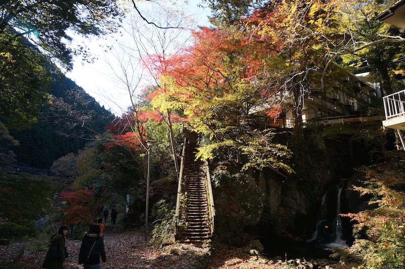 DSC08422.JPG DSC08422.JPG