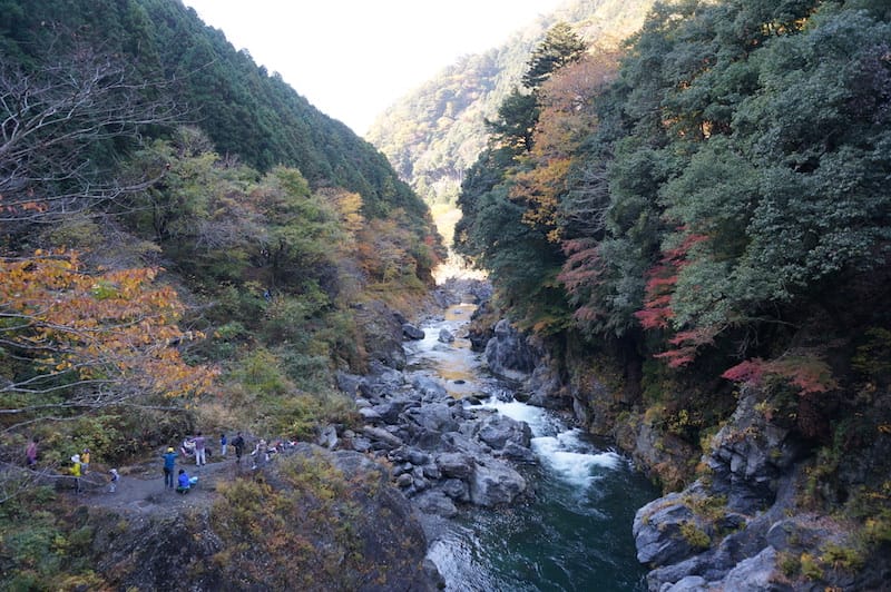 DSC08414.JPG DSC08414.JPG