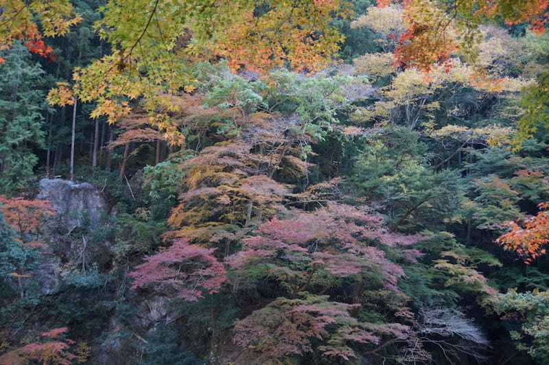 DSC08392.JPG DSC08392.JPG